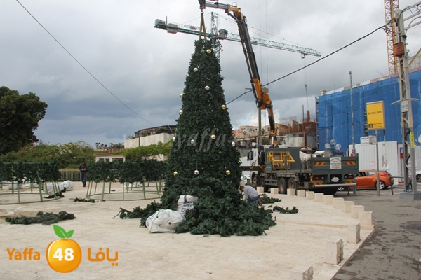 tree 3ed miladj3 (5).JPG